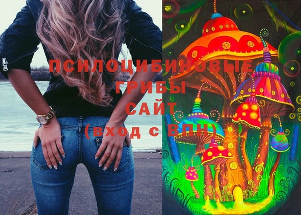 spice Армянск