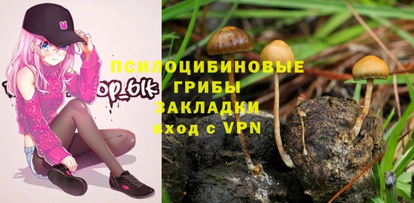 apvp Верхний Тагил